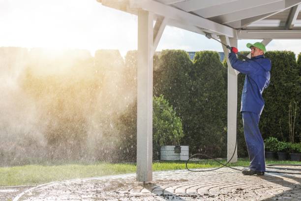 Best Graffiti Removal  in Glencoe, FL